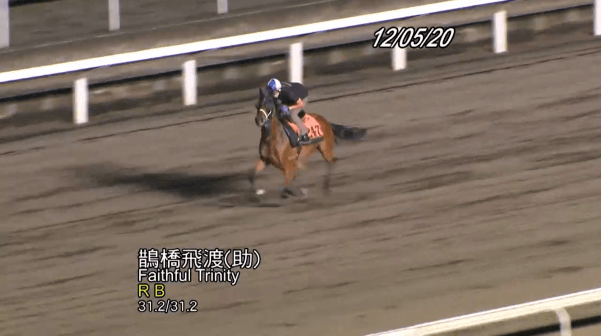 鵲橋飛渡